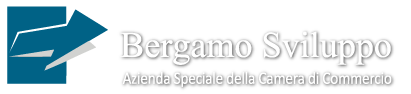 Bergamo Sviluppo